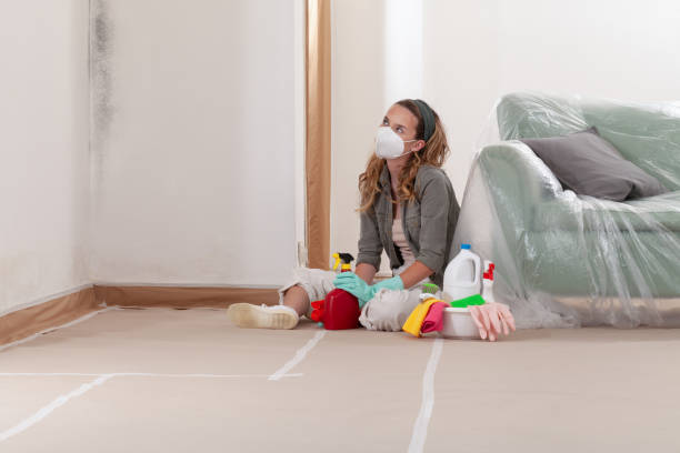 Reliable Mold Removal contractor in Joint Base Mdl, NJ by WQB Mold Removal